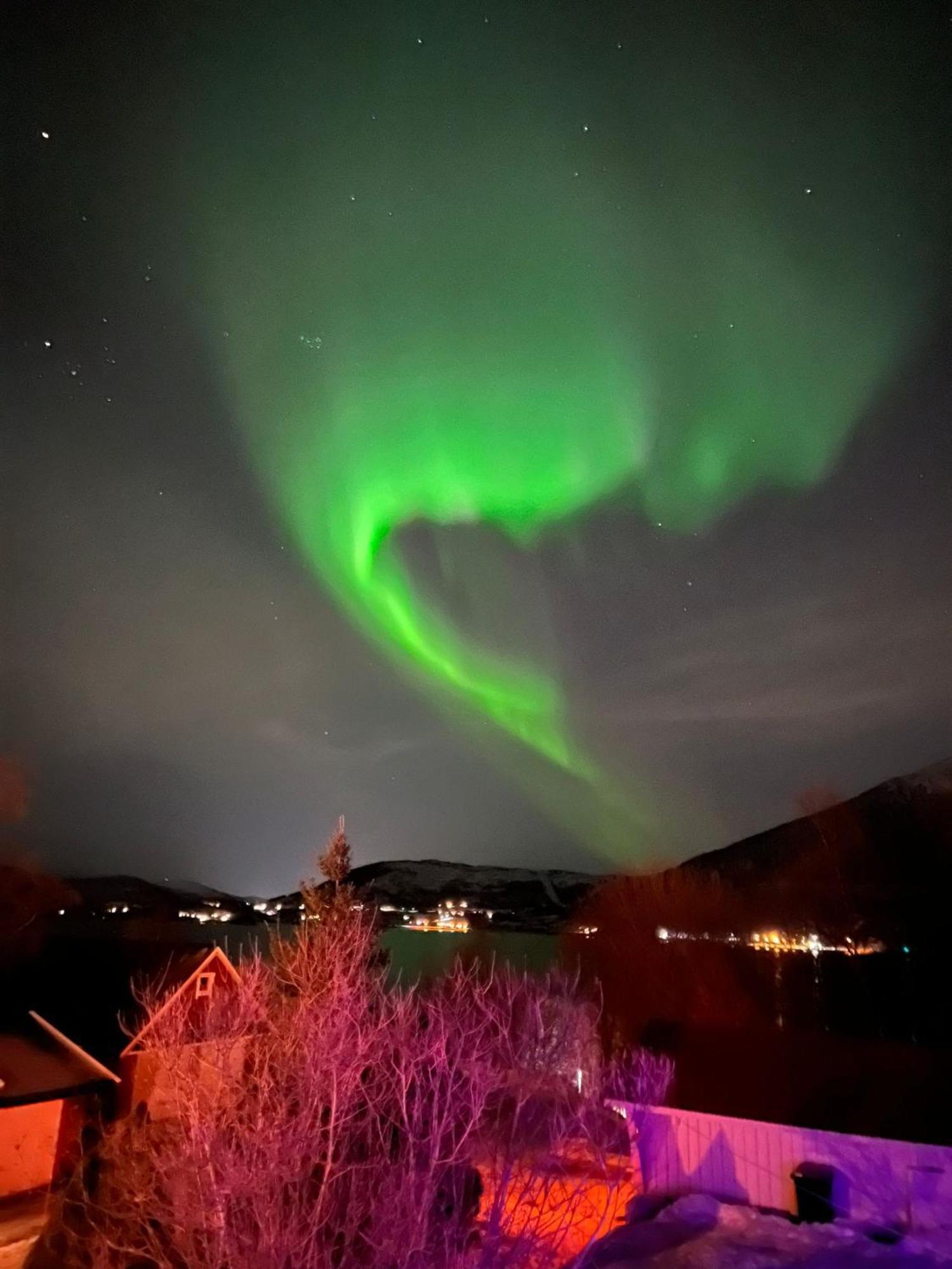 ホテル Evenes Artic Glamping Evenesmarkja エクステリア 写真